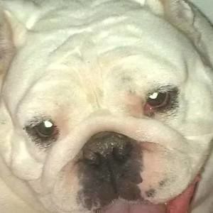 Meet your Posher, Patty